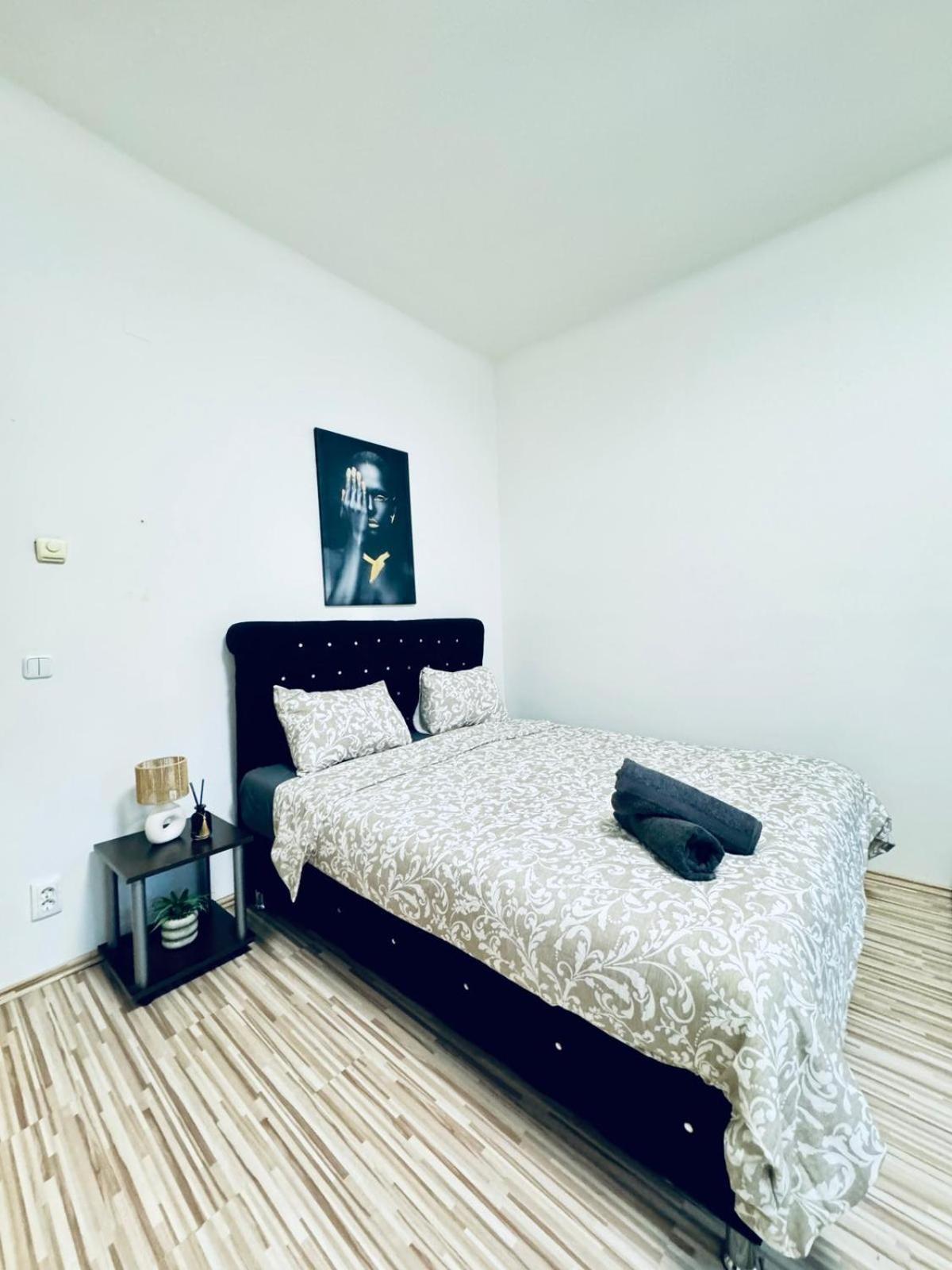 Affordable 2br Apartment, Close To Danube River Apartment Wien