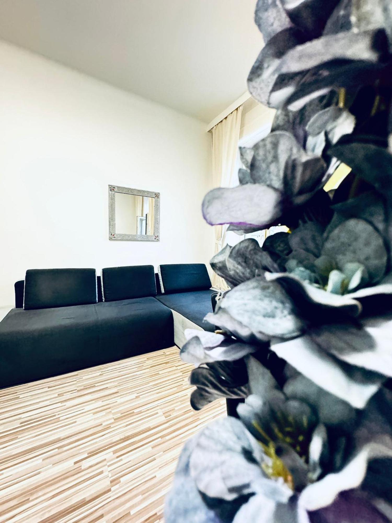 Affordable 2br Apartment, Close To Danube River Apartment Wien